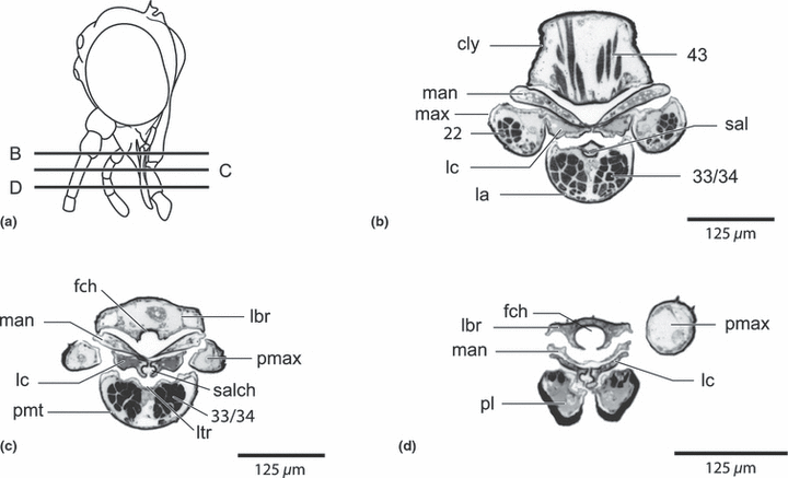 Details are in the caption following the image Details are in the caption following the image