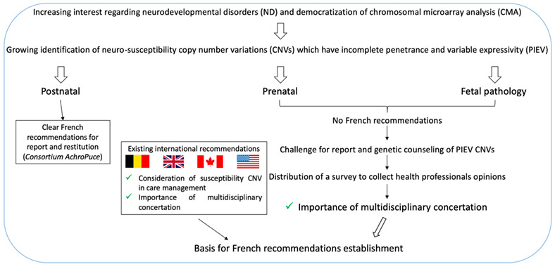 Management of copy number variants associated with incomplete penetrance and variable expressivity—Results of a French survey