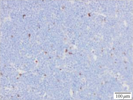 Details are in the caption following the image