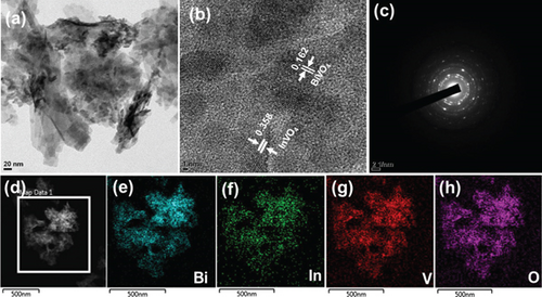Details are in the caption following the image Details are in the caption following the image