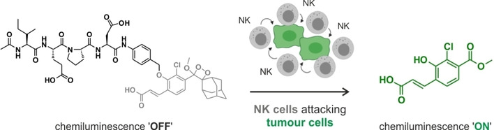 A Functional Chemiluminescent Probe for in Vivo Imaging of Natural Killer Cell Activity Against Tumours