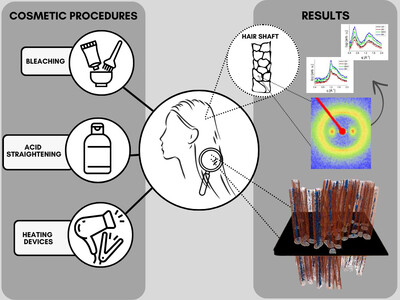 Alterations promoted by acid straightening and/or bleaching in hair microstructures