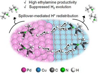 Spillover-Mediated H* Redistribution Promotes Electrocatalytic Acetonitrile Hydrogenation in PEM Reactors