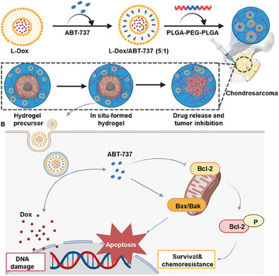 Development of Injectable Thermosensitive Nanocomposite Hydrogel for Ratiometric Drug Delivery to Treat Drug Resistant Chondrosarcoma In Vivo
