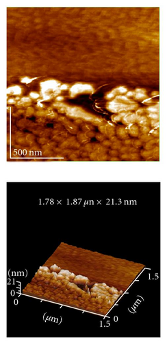 Details are in the caption following the image Details are in the caption following the image