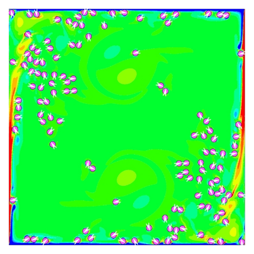 Details are in the caption following the image