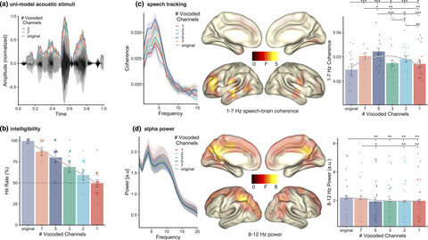 Degradation levels of continuous speech affect neural speech tracking and alpha power differently