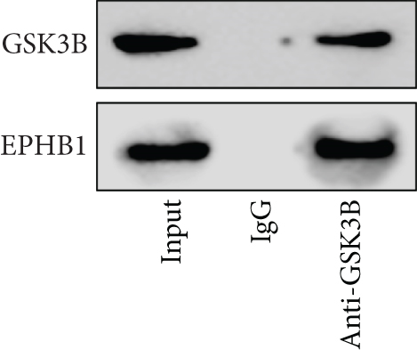 Details are in the caption following the image