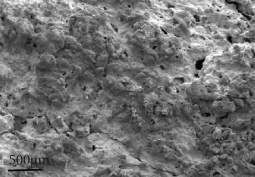 Details are in the caption following the image
