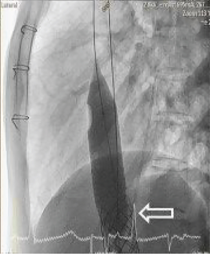 Details are in the caption following the image Details are in the caption following the image