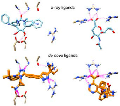 Customizable de novo design strategies for DOCK: Application to HIVgp41 and other therapeutic targets