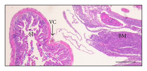 Details are in the caption following the image