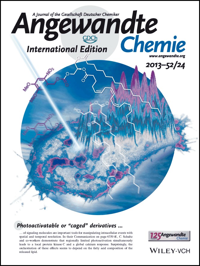 Back Cover: The Fatty Acid Composition of Diacylglycerols Determines Local Signaling Patterns (Angew. Chem. Int. Ed. 24/2013)