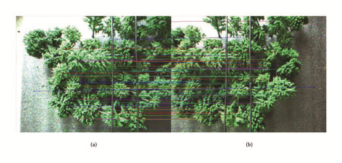 Details are in the caption following the image Details are in the caption following the image