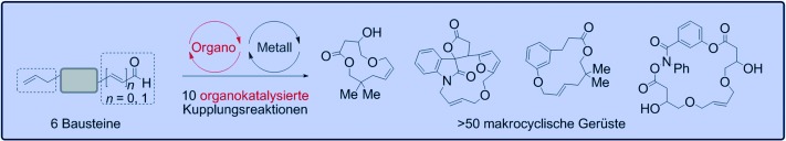 Diversity-Oriented Synthesis of Drug-Like Macrocyclic Scaffolds Using an Orthogonal Organo- and Metal Catalysis Strategy
