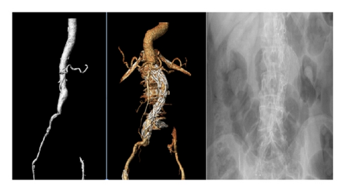 Details are in the caption following the image Details are in the caption following the image