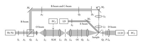Details are in the caption following the image Details are in the caption following the image