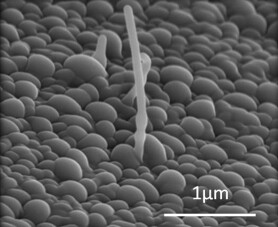 Composite Carbon Nanotube/Carbon Electrodes for Electrical Double-Layer Super Capacitors