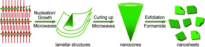 Layered Cobalt Hydroxide Nanocones: Microwave-Assisted Synthesis, Exfoliation, and Structural Modification
