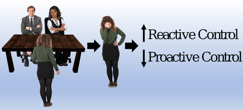 Subjective stress and proactive and reactive cognitive control strategies