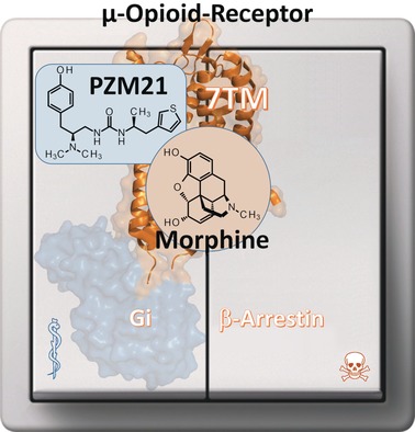 G-Protein-Coupled Receptors: Sustained Signaling via Intracellular Megaplexes and Pathway-Specific Drugs
