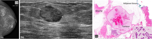 Details are in the caption following the image Details are in the caption following the image