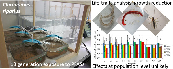 Effects of Perfluoralkyl Substances on a Multigenerational Scale: A Case Study with Chironomus riparius (Diptera, Chironomidae)