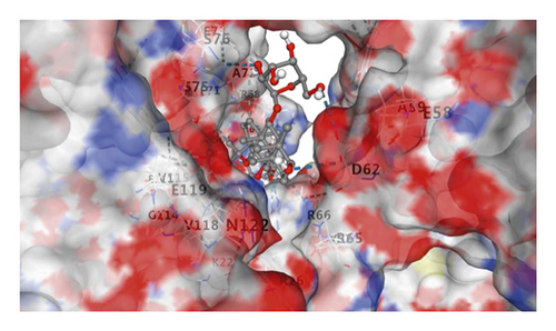 Details are in the caption following the image Details are in the caption following the image