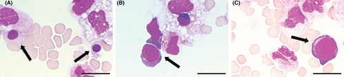Details are in the caption following the image Details are in the caption following the image