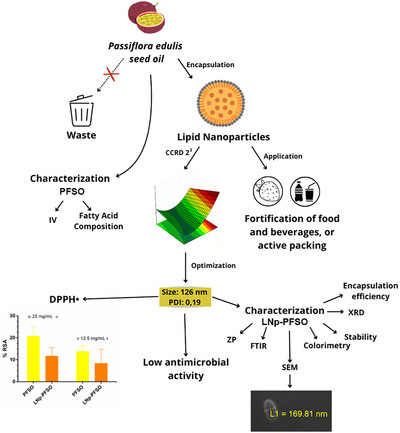 Lipid Nanoparticles as an Effective Strategy for Protecting Bioactive Compounds in Passion Fruit Seed Oil Issue ,