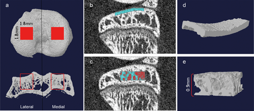Details are in the caption following the image Details are in the caption following the image