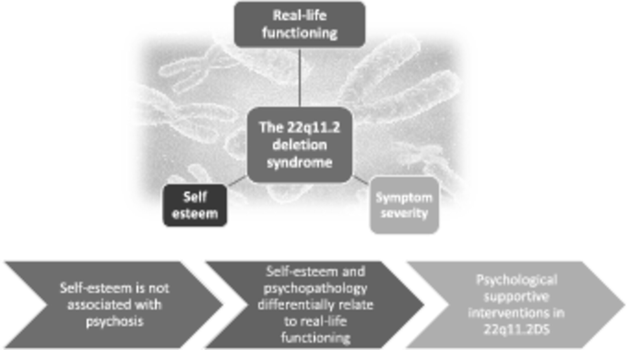 Self-Esteem and Psychopathology Differentially Relate to Real-Life and Social Functioning in People With 22q11.2 Deletion Syndrome