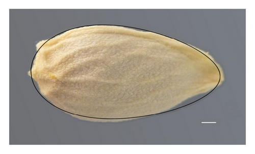 Details are in the caption following the image