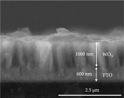 Details are in the caption following the image