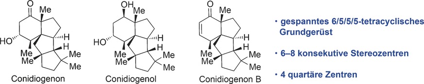 Total Syntheses of the Tetracyclic Cyclopiane Diterpenes Conidiogenone, Conidiogenol, and Conidiogenone B