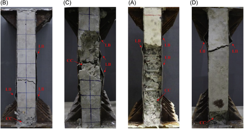 Details are in the caption following the image Details are in the caption following the image
