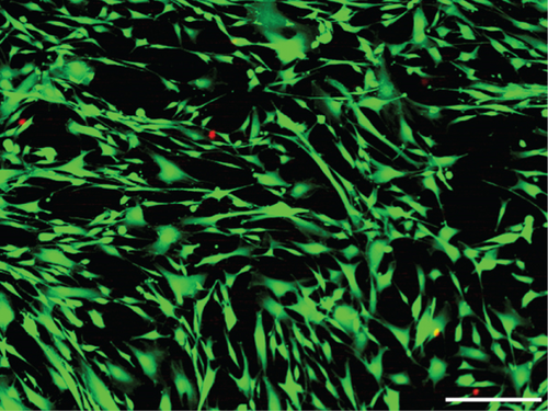 Details are in the caption following the image