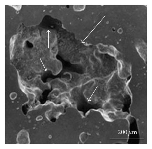 Details are in the caption following the image