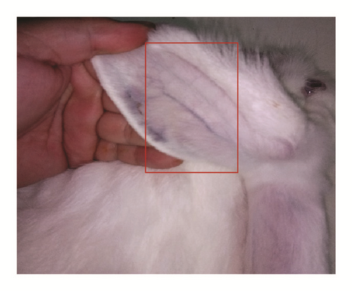 Details are in the caption following the image