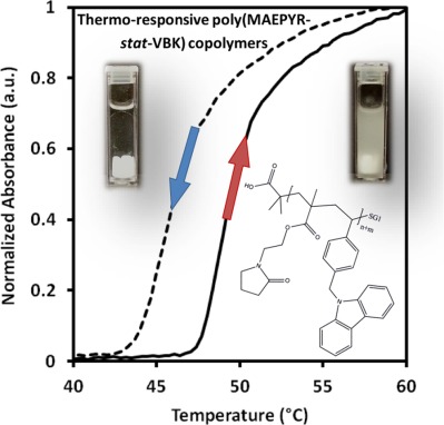Pyrrolidone-functional smart polymers via nitroxide-mediated polymerization