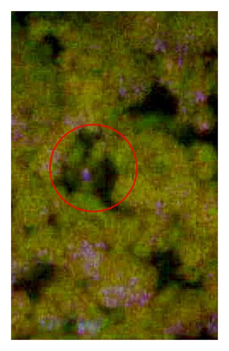 Details are in the caption following the image