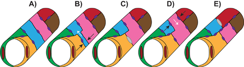 Details are in the caption following the image