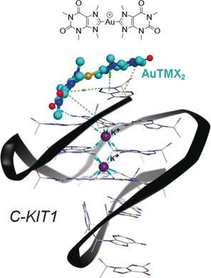 On the Mechanism of Gold/NHC Compounds Binding to DNA G-Quadruplexes: Combined Metadynamics and Biophysical Methods