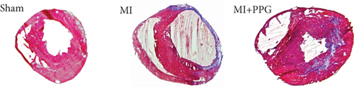 Details are in the caption following the image