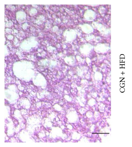 Details are in the caption following the image