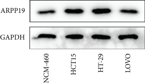 Details are in the caption following the image