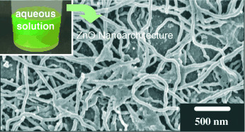 Biomimetic Synthesis of Wurtzite ZnO Nanowires Possessing a Mosaic Structure