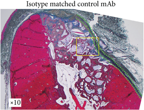 Details are in the caption following the image