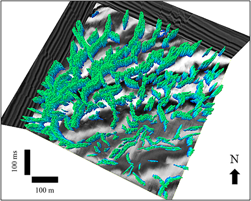 Details are in the caption following the image