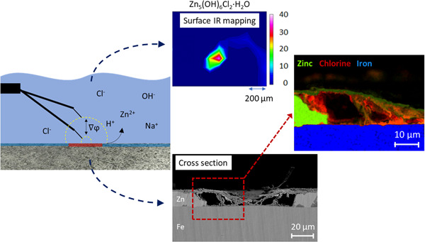 Assessment of pitting corrosion in bare and passivated (wet scCO2-induced patination and chemical passivation) hot-dip galvanized steel samples with SVET, FTIR, and SEM (EDS)